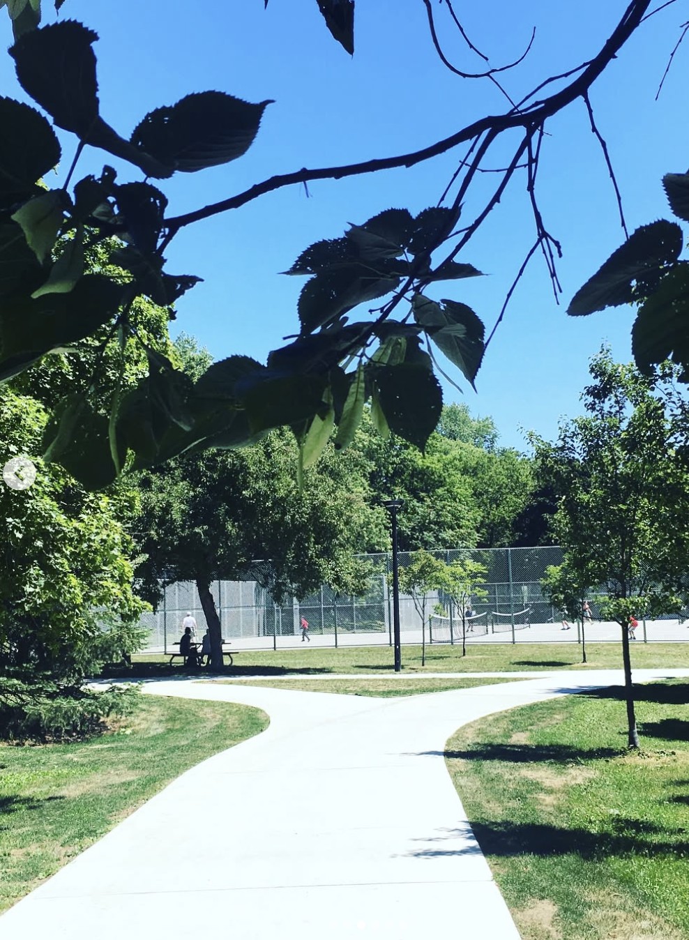 Pathway leading toward the tennis courts at Ramsden Park framed by leafy trees